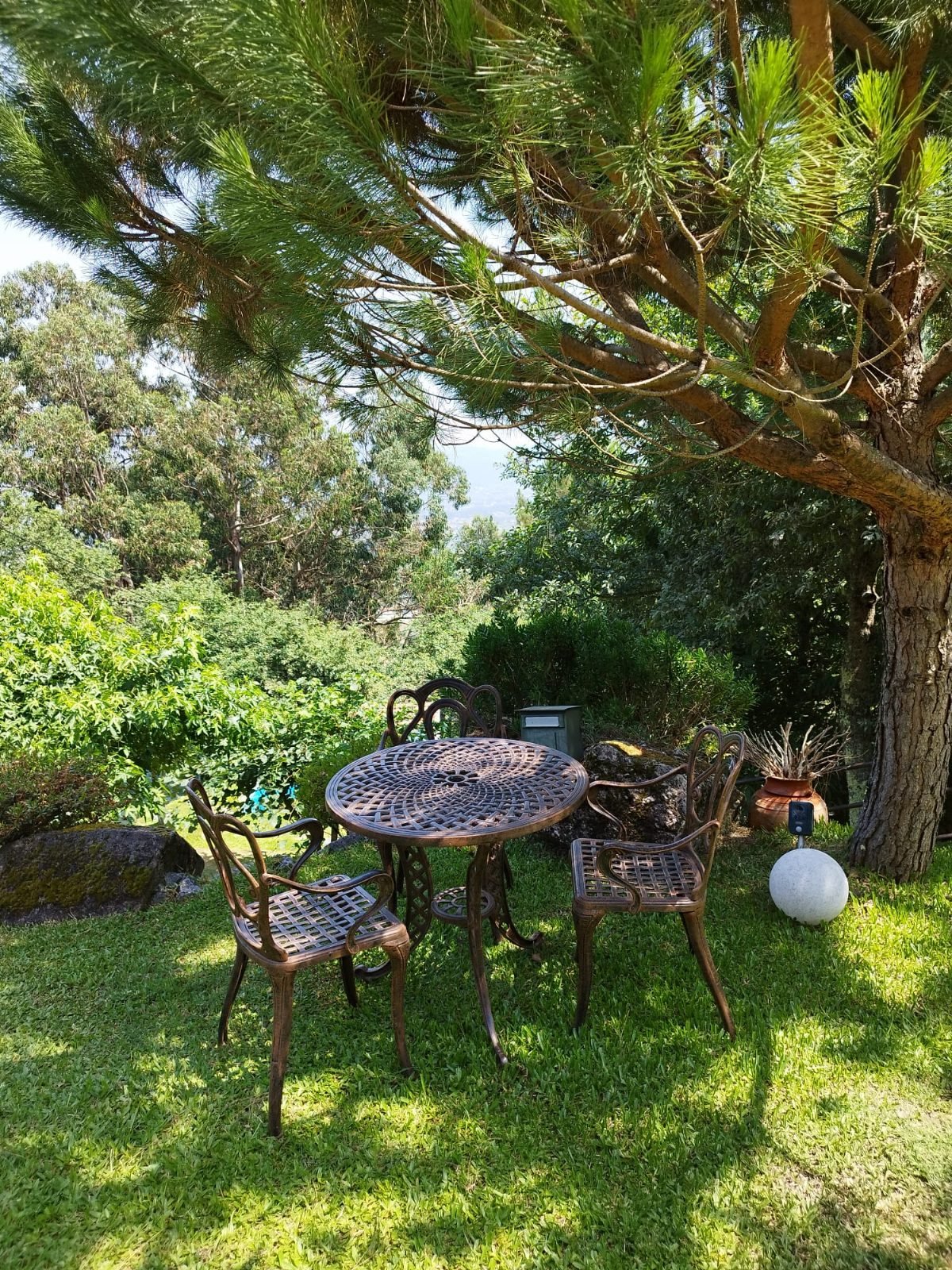 WhatsApp Image 2025-10-23 at 14.20.22